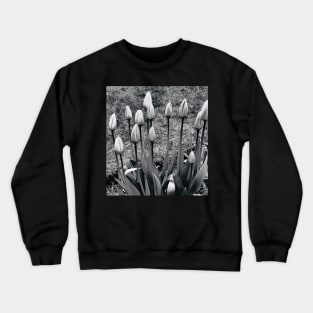 Tulips Crewneck Sweatshirt